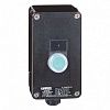 SE Кнопочный пост металлический 1 кнопка пуска ATEX XAWF100EX, Schneider Electric, , XAWF100EX